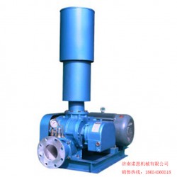 造纸行业罗茨风机，罗茨鼓风机，三叶罗茨风机，三叶罗茨