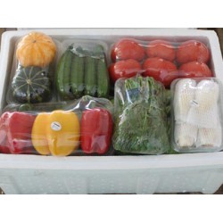 聚義公塑料泡沫——优秀的蔬菜泡沫箱供应商，蔬菜泡沫箱价格