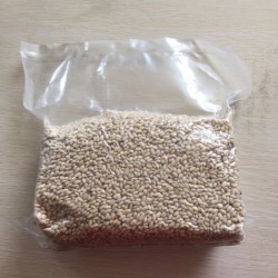 兴源供应优质共计大白袋|食品塑料包装