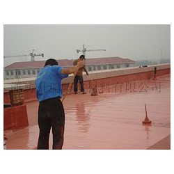屋面防水涂料 水泥屋面防水补漏 混凝土屋面防水涂料