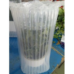 广州绿植花卉运输防护充气袋