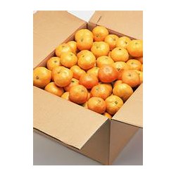 纸箱厂家批发橘子纸箱定做彩箱包装盒
