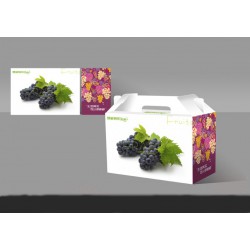 葡萄水果包装盒