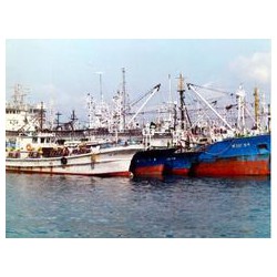 劳务派遣公司 找亚欧航线货轮招聘到亿泰劳务