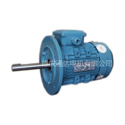 YE3超高效三相异步电动机供应商哪家好 珠三角三相异步电动机