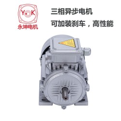 永坤Y系列三相异步电机 YE2-6344-0.37KW