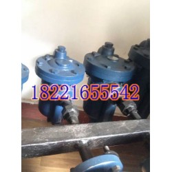 供应优质台湾DSC铸铁倒筒式疏水阀982
