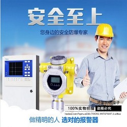 癸烷气体报警器 可燃有毒气体检测器报警器
