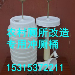 政府惠农政策农村厕所改造三格化粪池高压冲厕桶