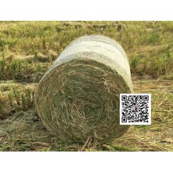 山西打捆网纽荷兰圆捆机专用捆草网生产厂家