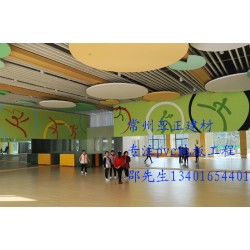 常州pvc地板 学校地板 幼儿园早教中心专用地板 塑胶地板