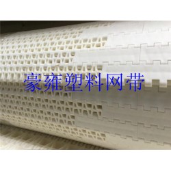 上海2533平格型塑料网带厂家
