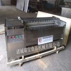 瑞宝马铃薯毛辊清洗机 大姜毛辊去皮清洗机 紫薯清洗机