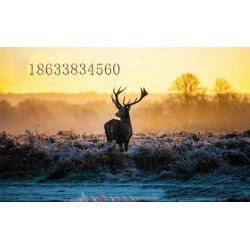 11.30煤改电墙暖画厂家直销远红外碳纤维智能家居手机控制