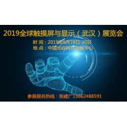 2019武汉全球触摸屏与液晶显示展览会