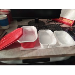 供应pp食品级塑料盒,一次性塑料托盘直销