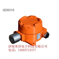 夏季QD6310型气体探测器-隔爆型壁挂式仪器