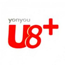 用友u8+成长型企业互联网应用平台架构