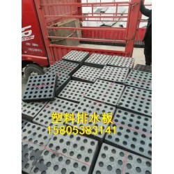 北京塑料排水板/2公分疏水板土工布厂家直销