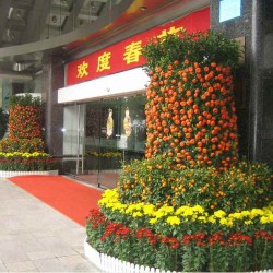 武汉室外园林价格室内植物出租，武汉写字楼绿化维护公司鲜花服务