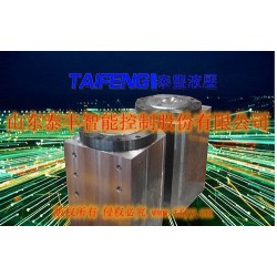 山东泰丰液压股份有限公司 折弯机油缸