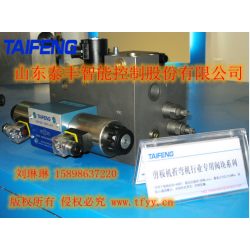 山东泰丰液压股份有限公司 折弯机阀组