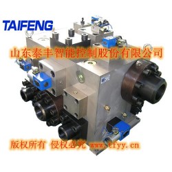 泰丰液压二通插装阀天津双泵500T系统