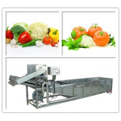 供应玉米清洗机 蔬菜清洗机 整套净菜加工流水线设备