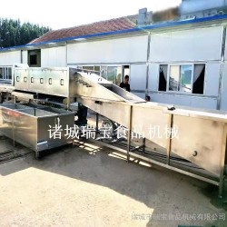 大姜清洗设备 瑞宝 黄姜清洗机 XJ-6000型去泥沙洗姜机