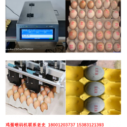 【专家推*】鸡蛋喷码机 鸡蛋激光喷码机 鸡蛋红墨喷码机
