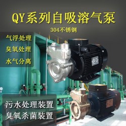 锅炉水循环泵40QY-6SS臭氧水消毒泵污水提升过滤泵