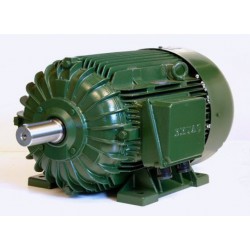 土耳其ELSAN电机，ELSAN异步电机