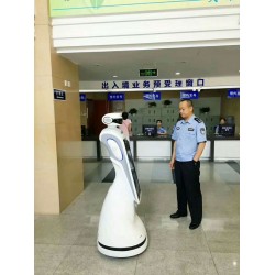 海关机器人，出入境机器人，警察机器人，服务大厅机器人