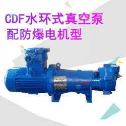 CDF1402T-OAD2天然气泵防爆真空泵