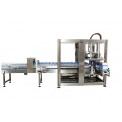 江苏全自动装箱机