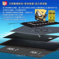 立宏—全地毯,国外先进技术,反应快,精度高,安全性好