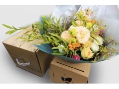 绿色环保拉链纸箱