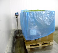 蔬菜出口欧美国家用环保大纸箱
