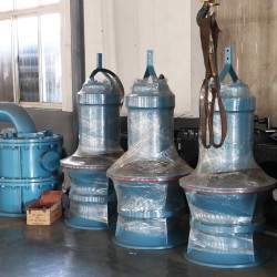 德能水泵 全国泵业十大排名推广产品 600QZB潜水轴流泵