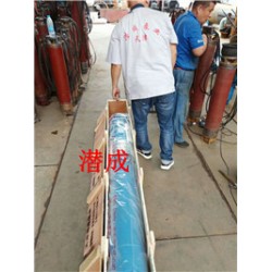 天津高扬程220KW供暖用热水泵厂家-潜成耐高温热水泵