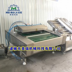 小型真空包装机 韩国泡菜真空机 肉类真空包装机