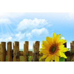 三维产品动画公司qizhenys.com