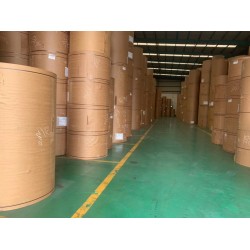 170-450克美国牛卡纸（惠好，石头，PCA，GP）