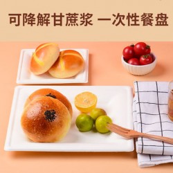 纸浆盘烧烤盘蛋糕水果托盘垫分餐盘甘蔗浆纸碟一次性小正方盘现货