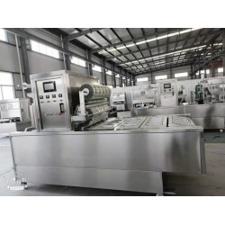 连续推拉式夏威夷果灌装真空气调封口包装机