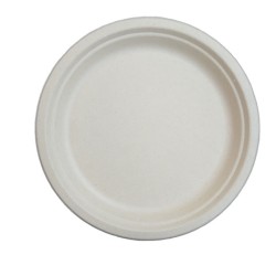贵州三迪9寸本白色甘蔗浆餐具圆形餐盘一次性可降解一次性餐具