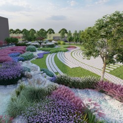 武汉室外苗木养护商场绿植租摆，苗木销售写字楼绿化价格