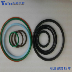 HNBR氢化丁腈密封圈FVMQ氟硅橡胶O型圈