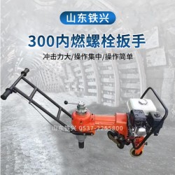 淮安NLB-300轨道螺丝机（柴油）维护