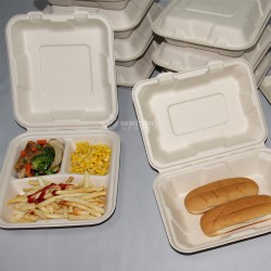 一次性餐具批发1000ml健康轻食外卖打包盒可降解餐盒